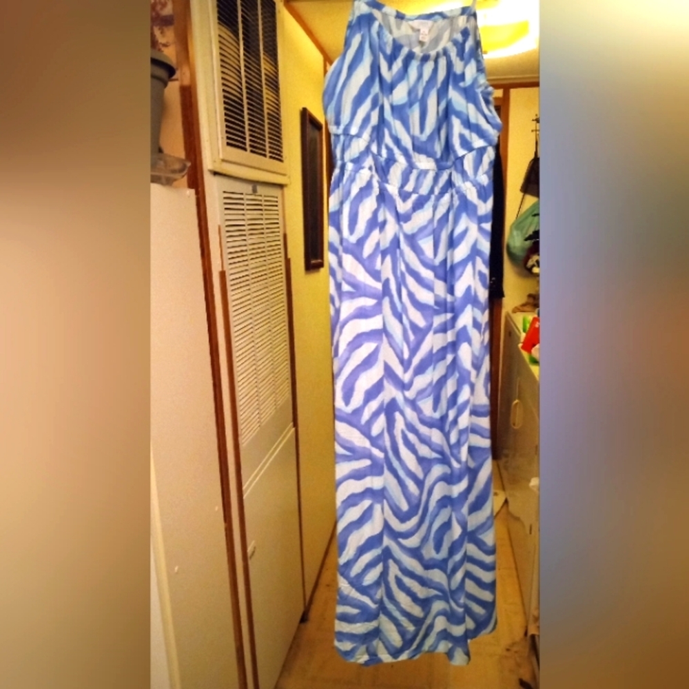 NWOT Blue Zebra Print Maxi Skirt